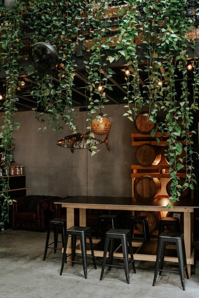 Critters Distillery inside image Critters Distillery Ethos